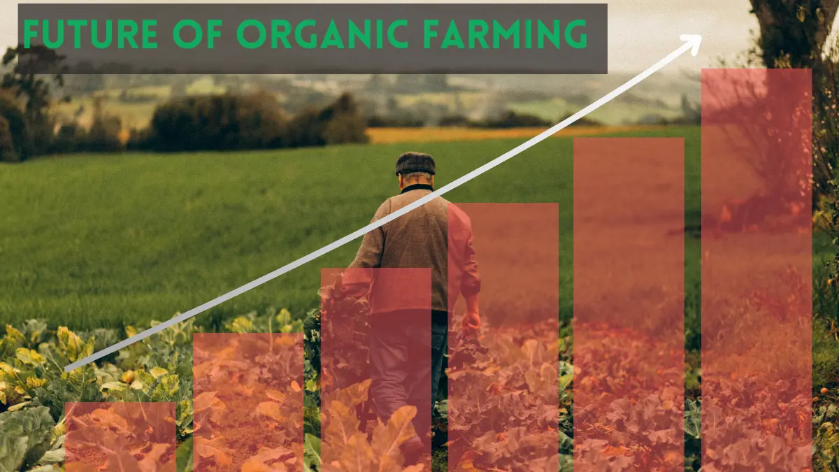 Future of Organic Farming