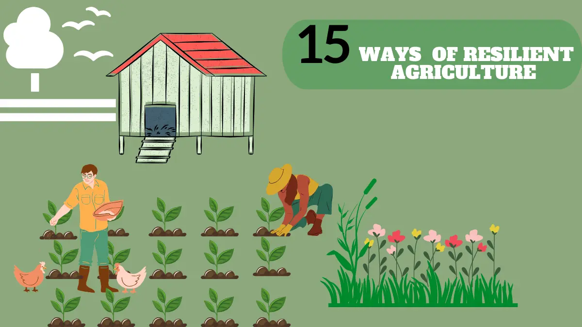 15 ways of resilient agriculture