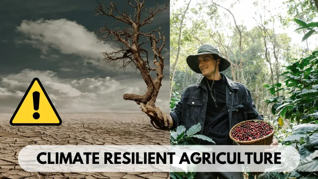 Climate resilient agriculture