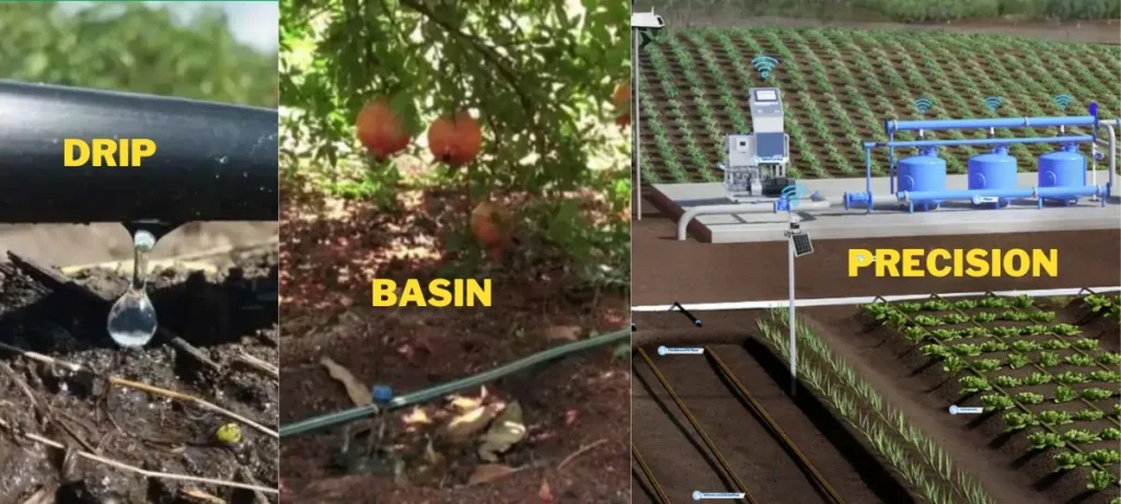 types of irrigation method used in pomegranate farming.