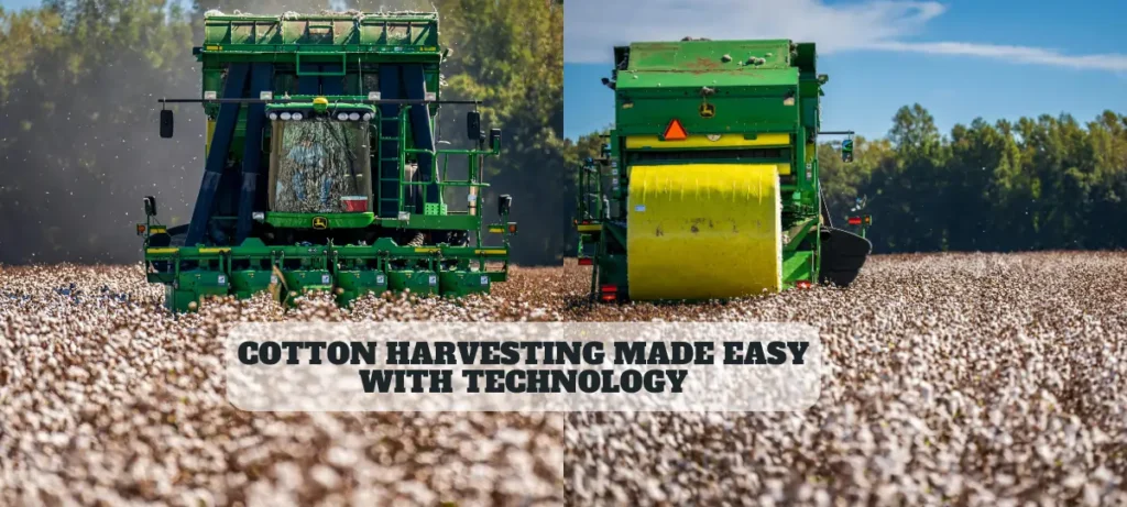 Cotton Harvesting And Technology